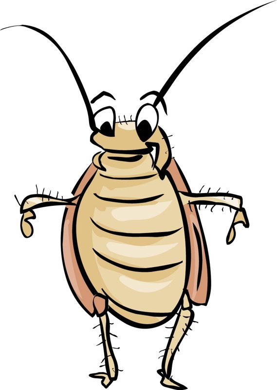 cockroach