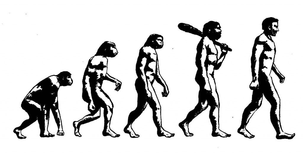 The way we evolved