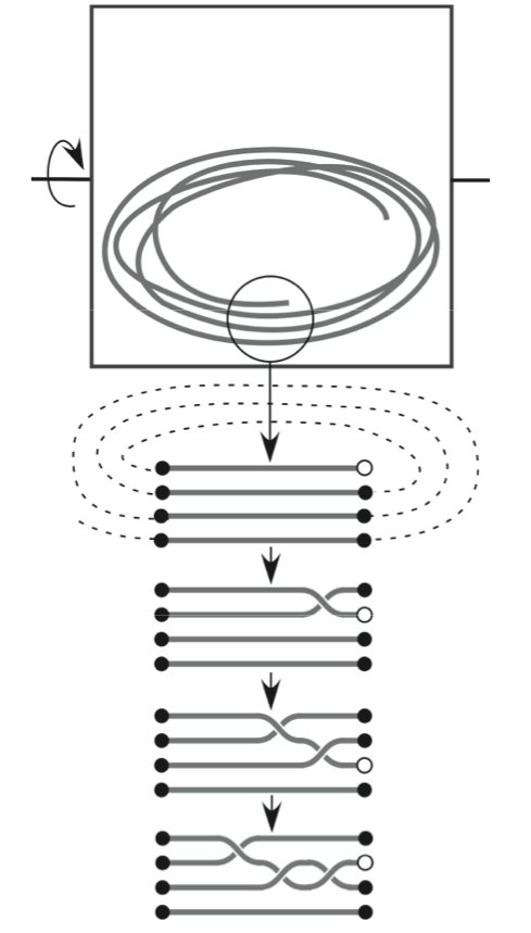 knot probability