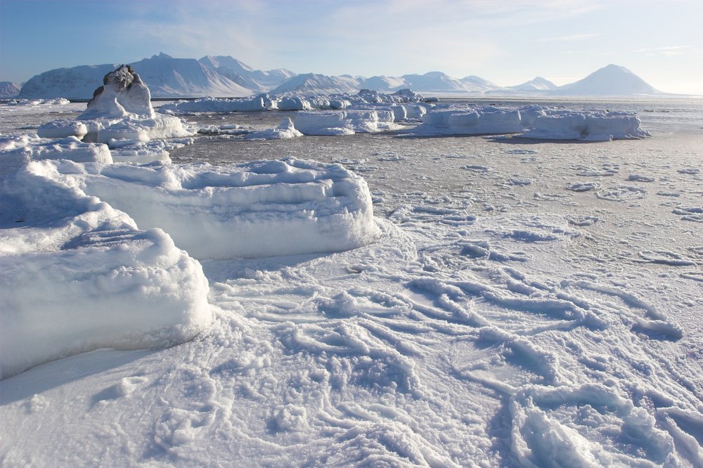 Frozen Arctic