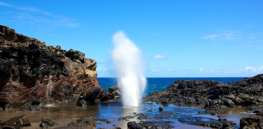 blowhole