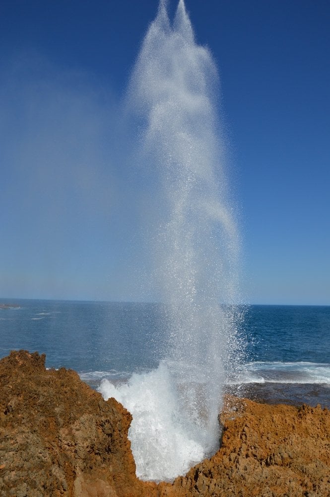 blowhole