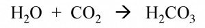 carbonic acid reaction