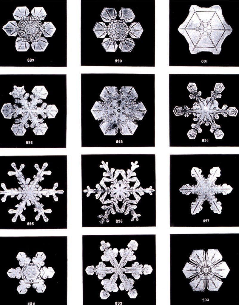 Types of snowflakes