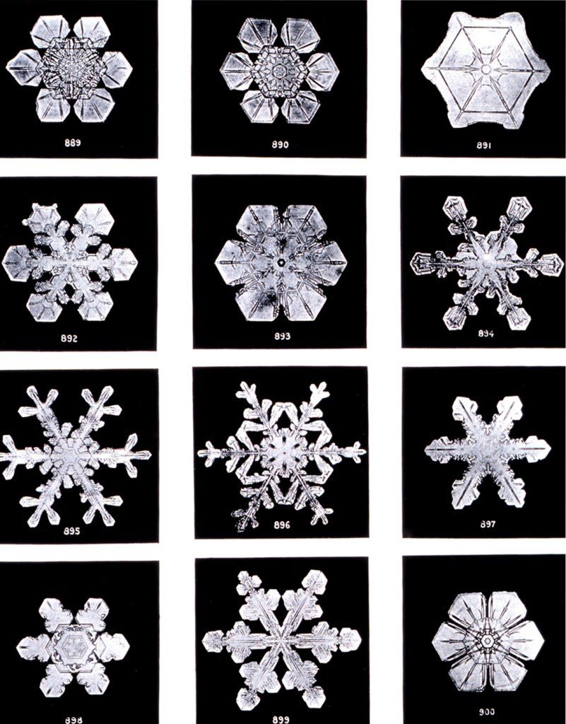 Why do snowflakes look like that? And other mysteries of nature's