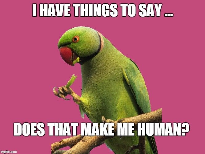 Parrot MEME