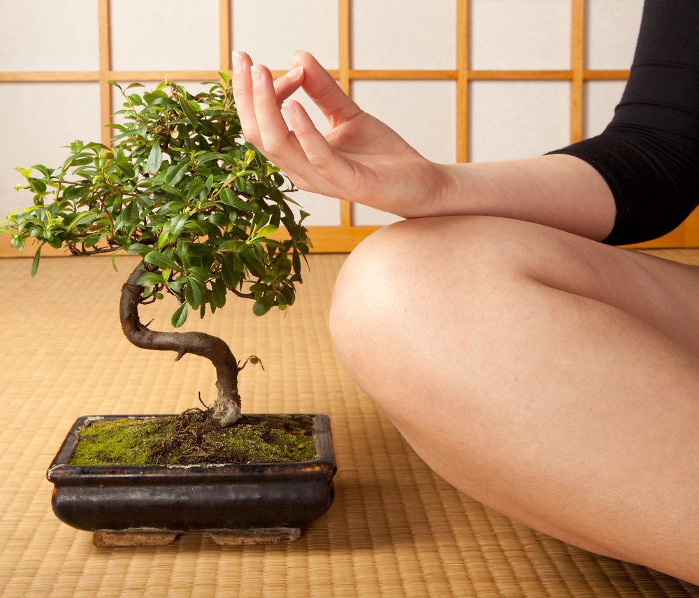 Why Are Bonsai Trees So Small?