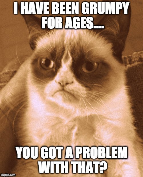 Grumpy Cat