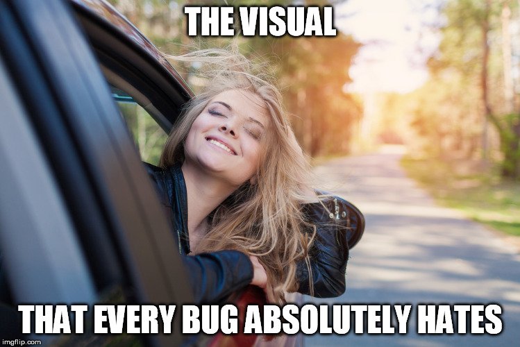 bug meme