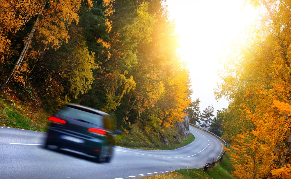 car through the woods