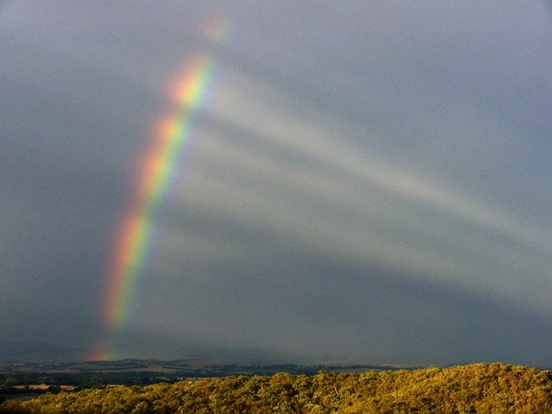 Rainbow Wheel