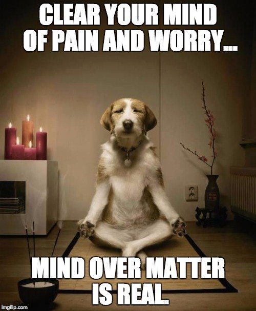 How Much Pain Can Humans Really Handle? » ScienceABC