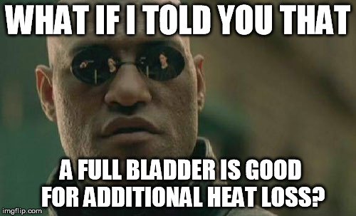 bladder meme