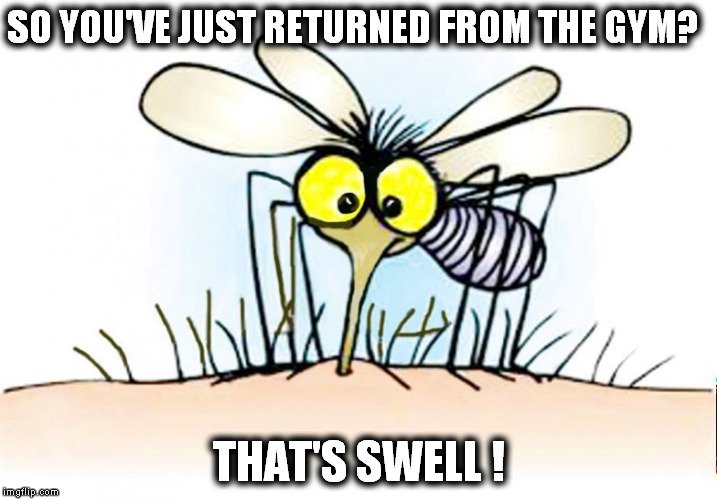 Why Do Mosquitoes Circle Over Your Head When It S Gelled Science Abc Why Do Mosquitoes Circle Over Your Head When It S Gelled Science Abc
