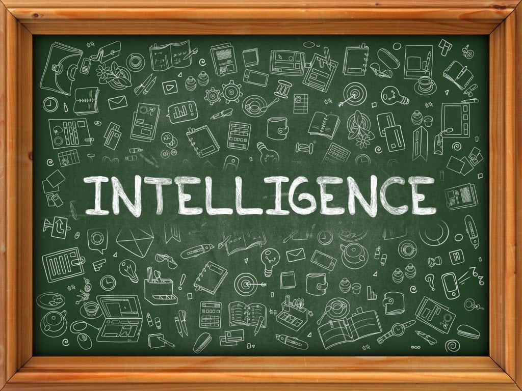 Is IQ Everything? (Photo Credit: tashatuvango / Fotolia)