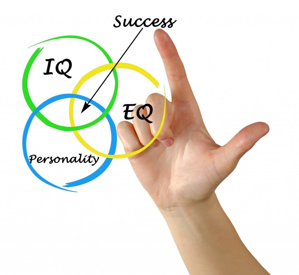 EQ / IQ Balance (Photo Credit: Dmitry / Fotolia)