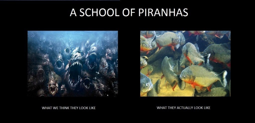 PIRANHA