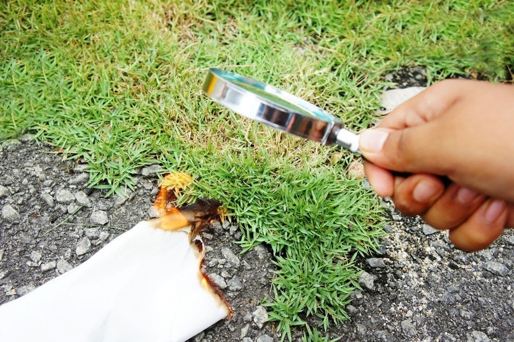 burning paper using a magnifying glass