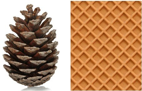 Pinecone and waffle shaped Exterior of a Grenade