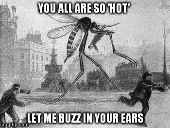 let me buzz in your ears meme