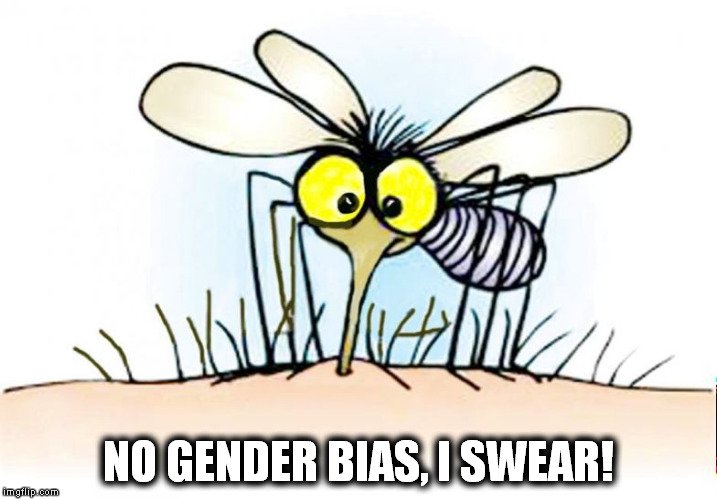 no gender bias, i swear meme