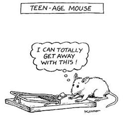 teenage mouse