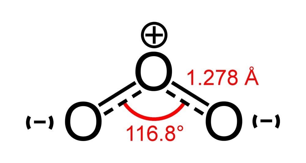 Ozone-1,3-dipole