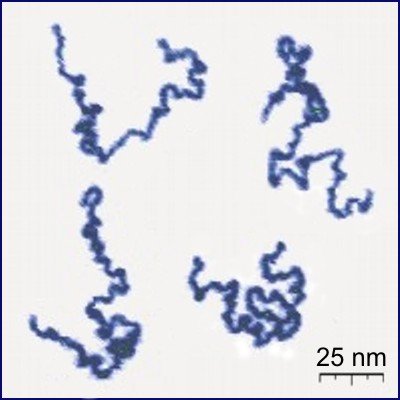 curly state of natural fibres 