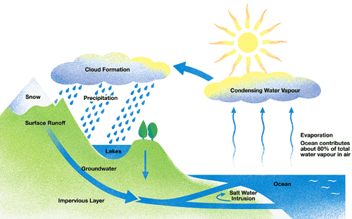 Water_cycle