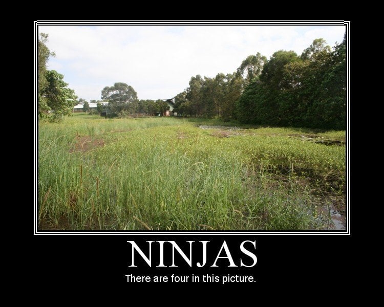 ninjas_motivational_poster_by_kokonut10