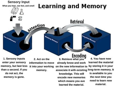 Memory Cycle