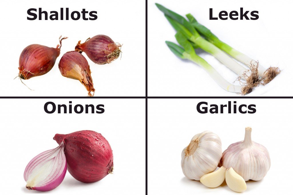 Shallots Leeks Onions garlics