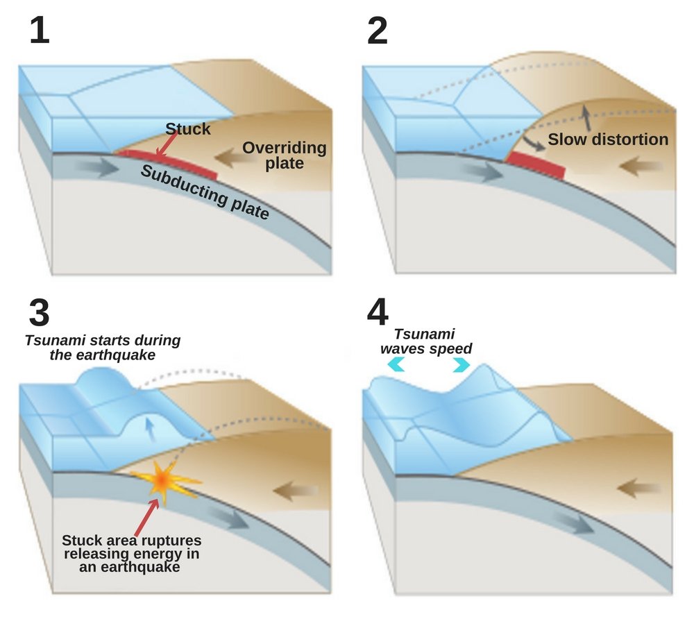 Generation of tsunami waves from underwater earthquake