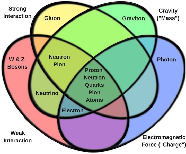 Particles by fundamental interactions