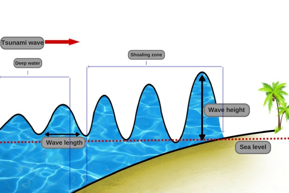 Wave shoaling tsunami