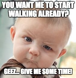 Why Do Human Babies Take So Long To Walk Compared To Animal Babies?