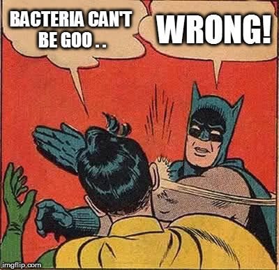 bacteria-cant-be-good-meme