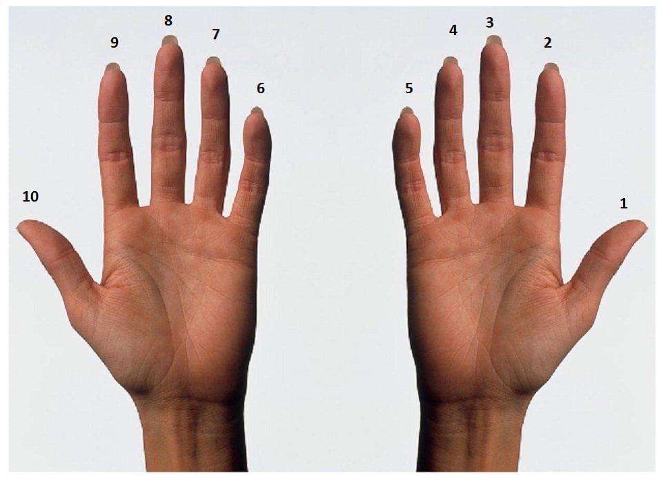 How High Can You Count On Your Fingers? » Science ABC
