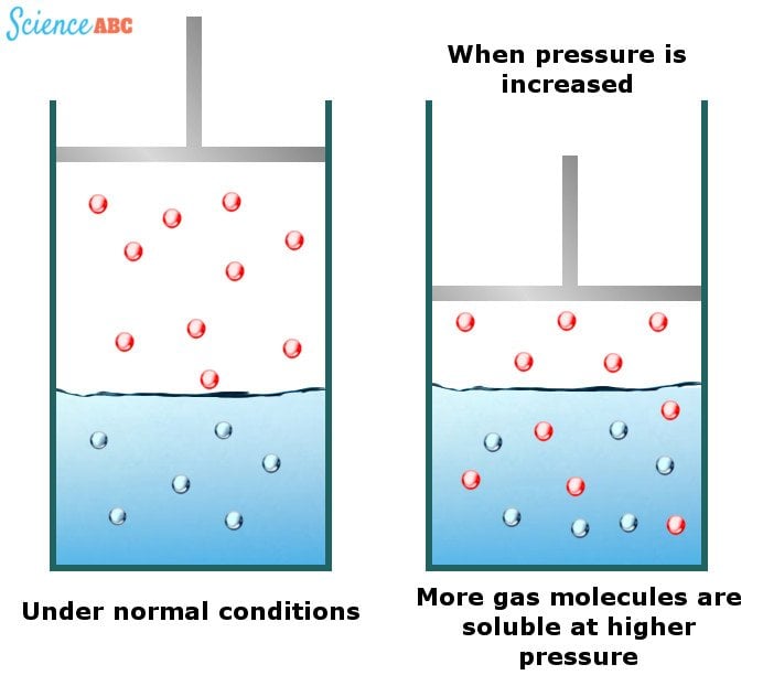 Why Do Bubbles Form In A Glass Of Water That's Left Out? » Science ABC