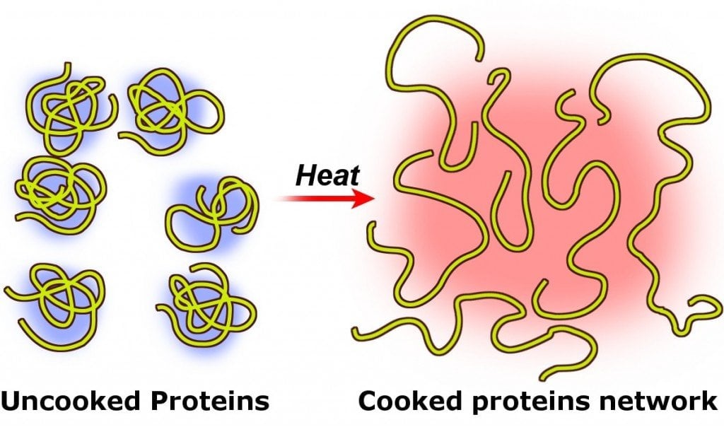 Protein coagulation denaturation