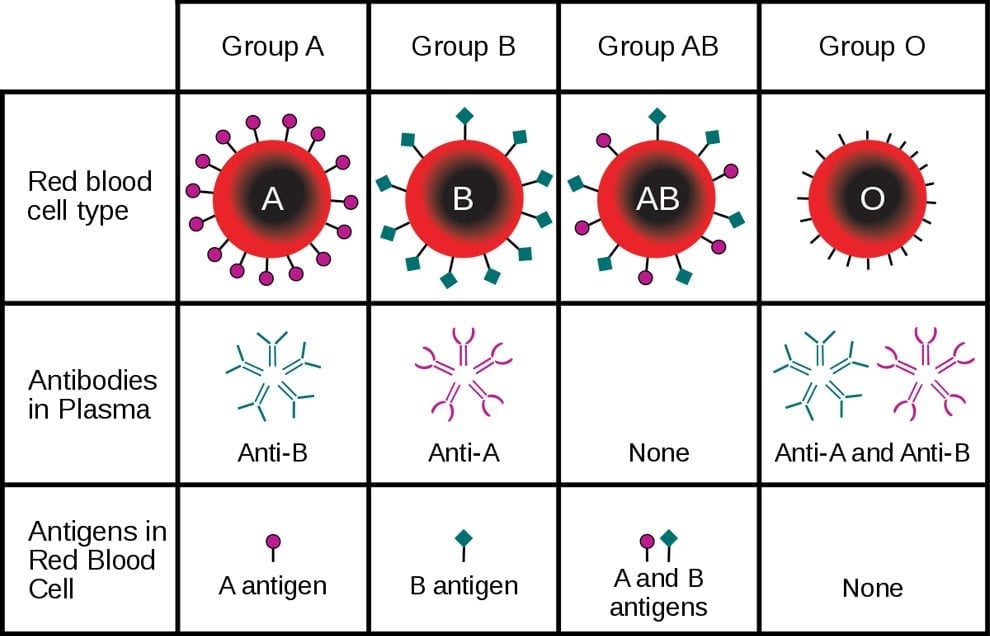 blood group