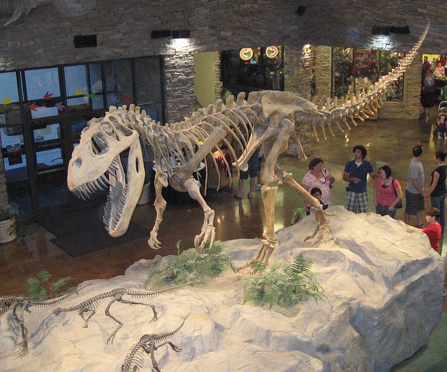 Museum AL dinosaur