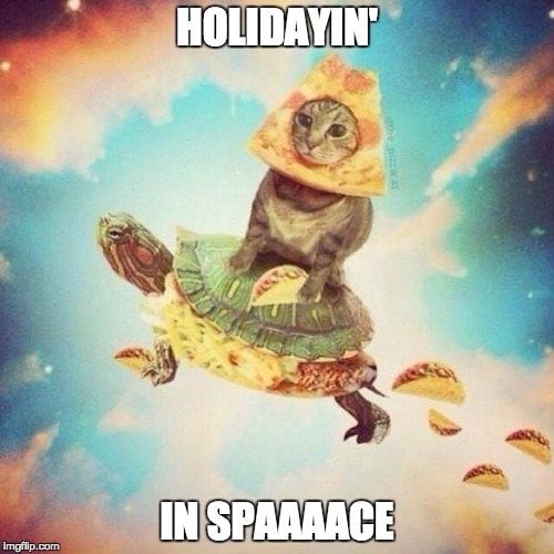 Cat holidaying in space