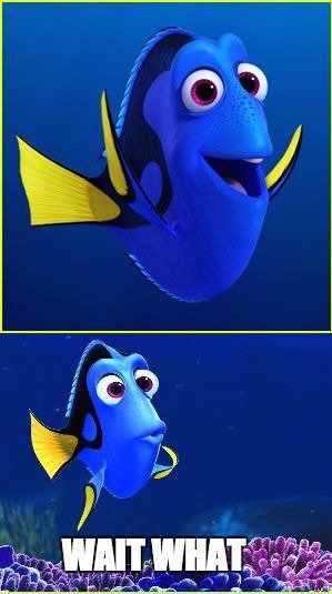 Dory meme wait what