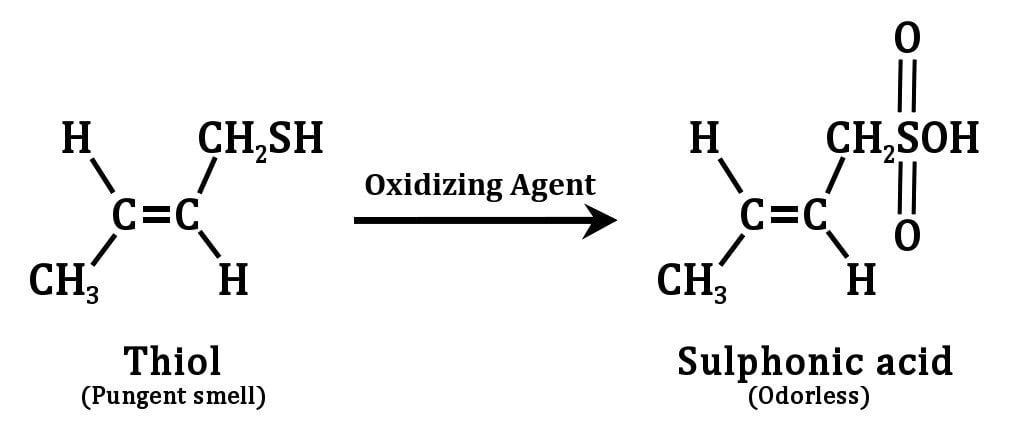 The action of an oxidising agent on thiols present in skunk spray