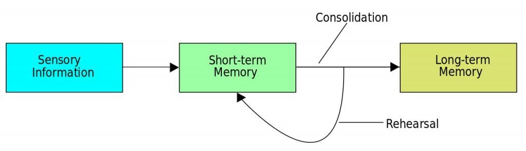 Memory Consolidation