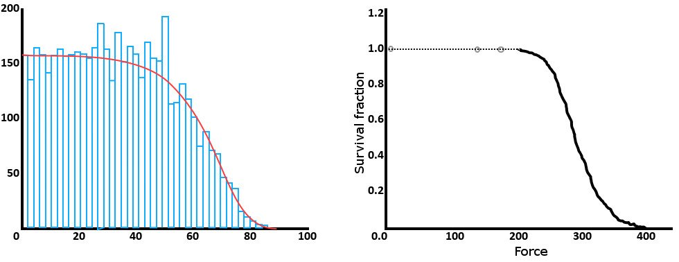 life curve image