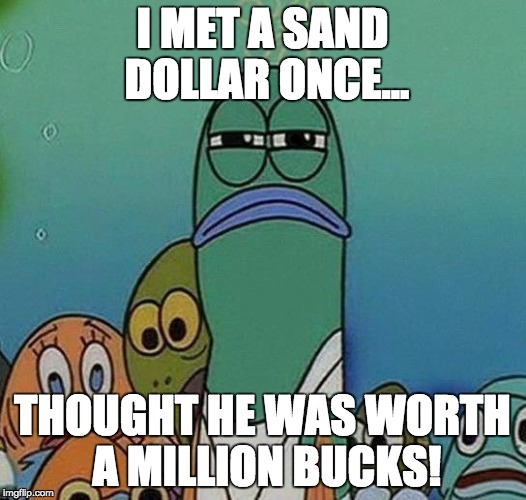 What Are Sand Dollars?