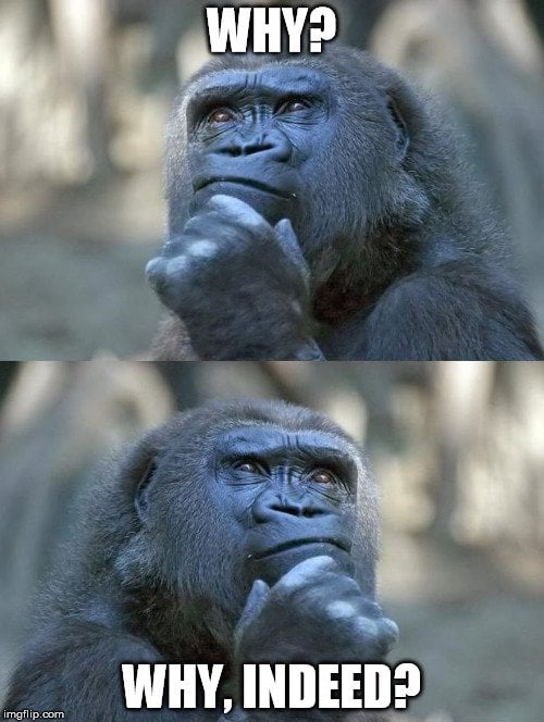 Why can animals drink dirty water? Why can animals drink dirty water?