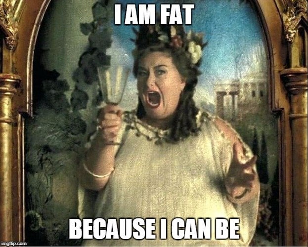 I am fat because i can be meme